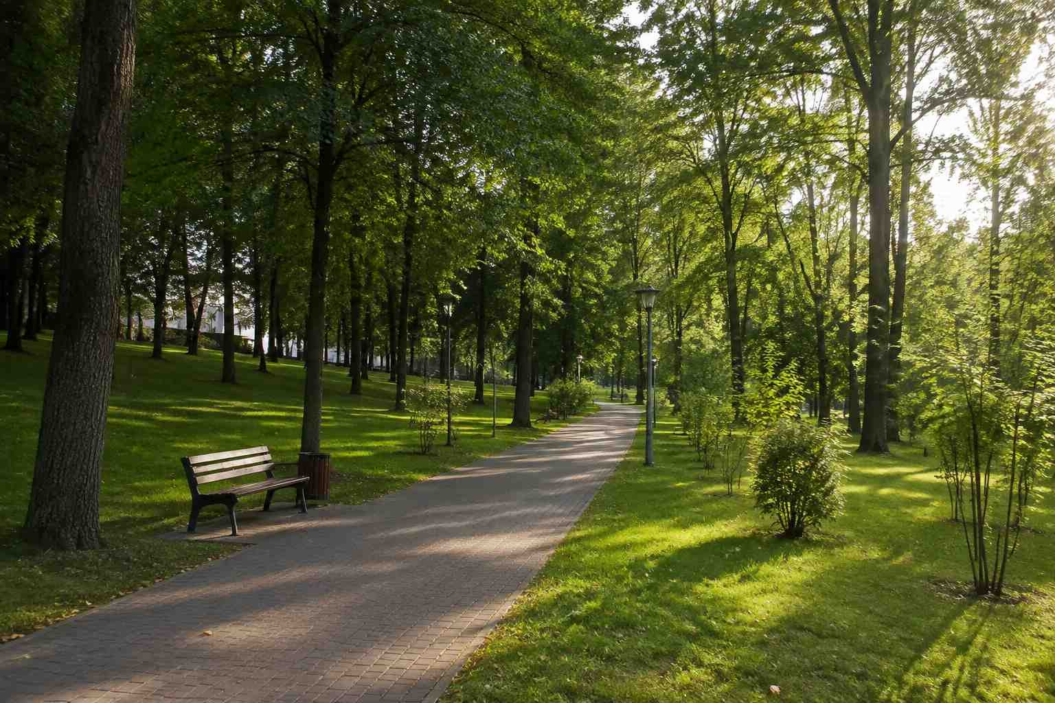 https://krasnodar.blago-s.ru/storage/app/uploads/public/6a7/eef/ed2/6a7eefed2af22038960370.jpg